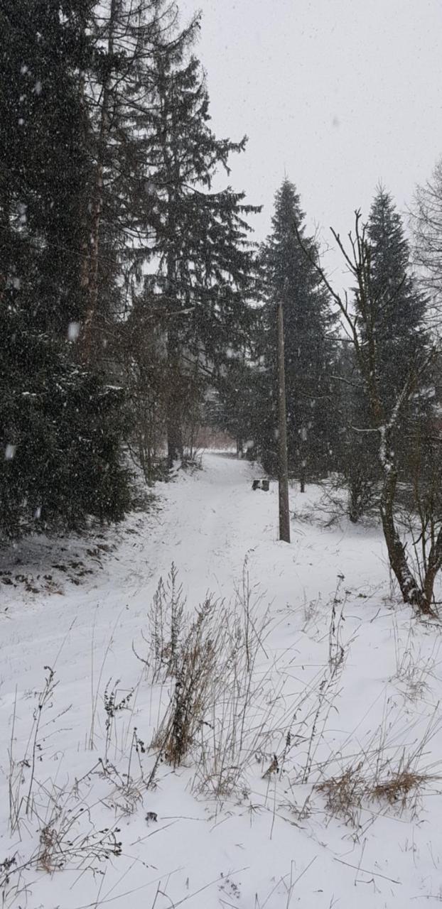 Chata Na Kovárně Rýmarov Exterior foto